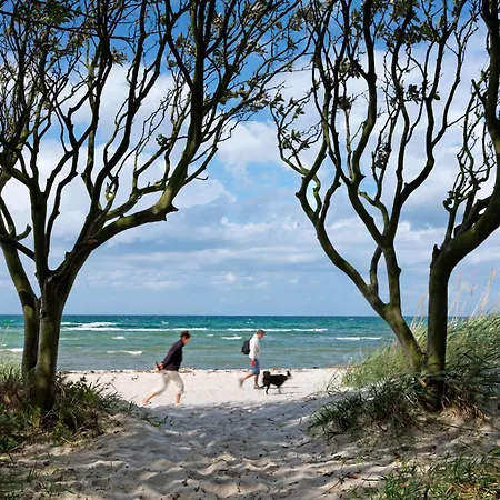 Haus Suedwester Strandschnecke *